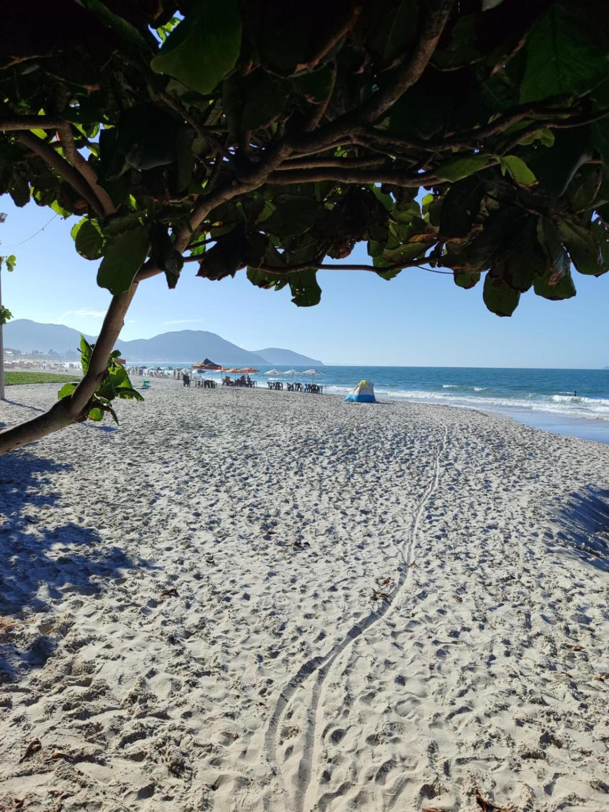 Apartamento De 2 Dormitorios Florianópolis Zewnętrze zdjęcie